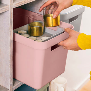 Sigma Home Storage Box 18L - Pink