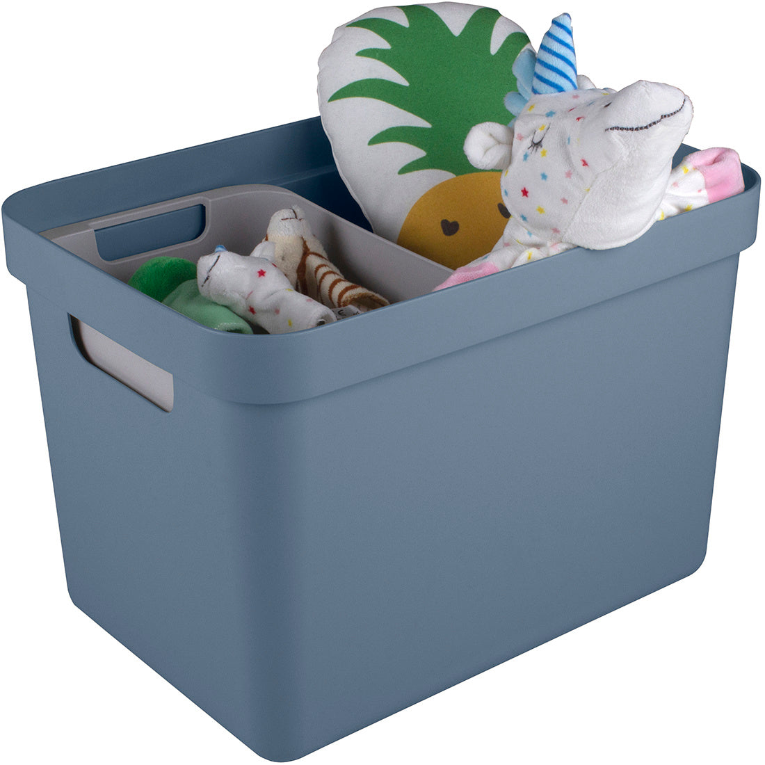 Sigma Home Storage Box 18L - Green & Dark Blue