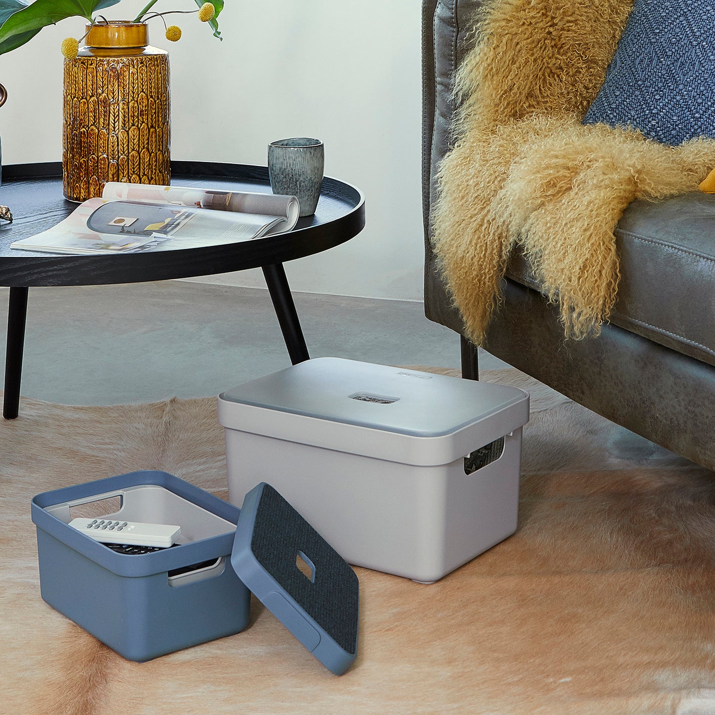 Sigma Home Lid Transparent - Storage Box 24L And 32L