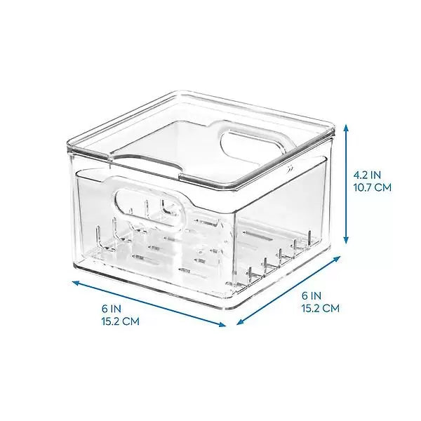 THE Home Edit Berry Bins Clear- Small & Large