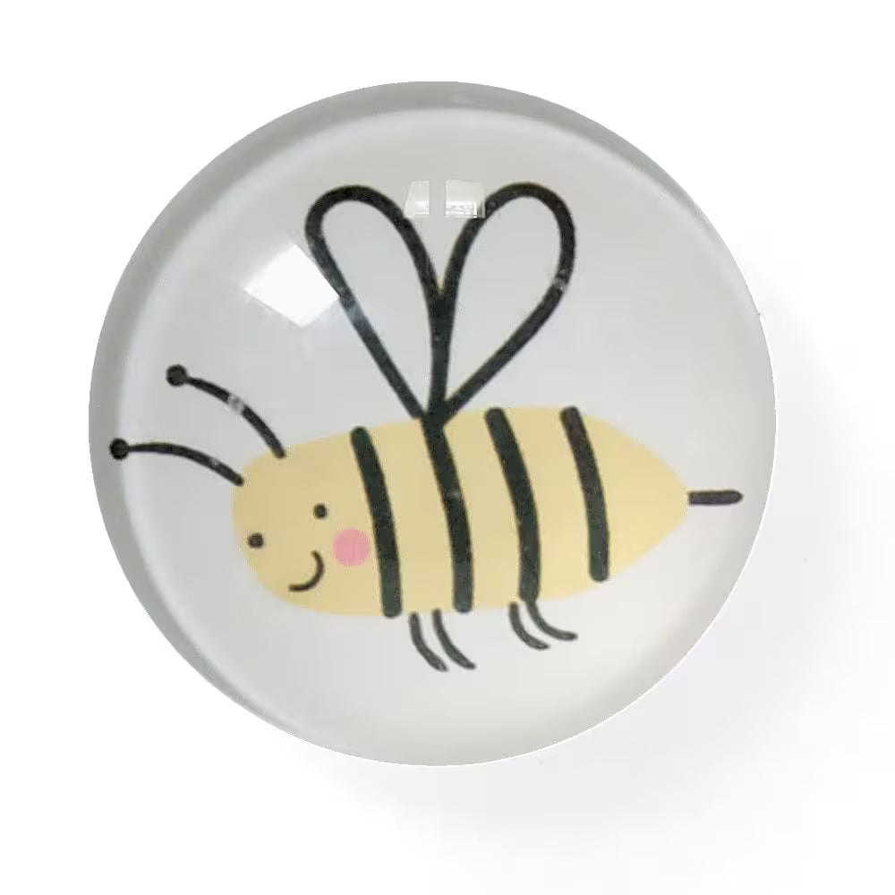 Magnet Set Insects - Set of 4 -Plast/Glass