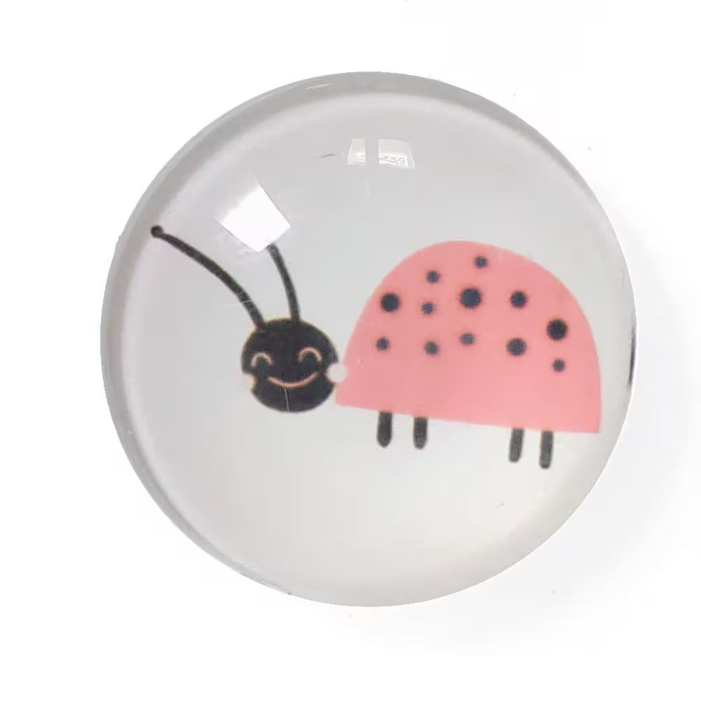 Magnet Set Insects - Set of 4 -Plast/Glass