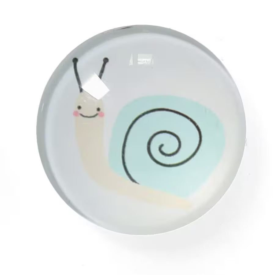Magnet Set Insects - Set of 4 -Plast/Glass