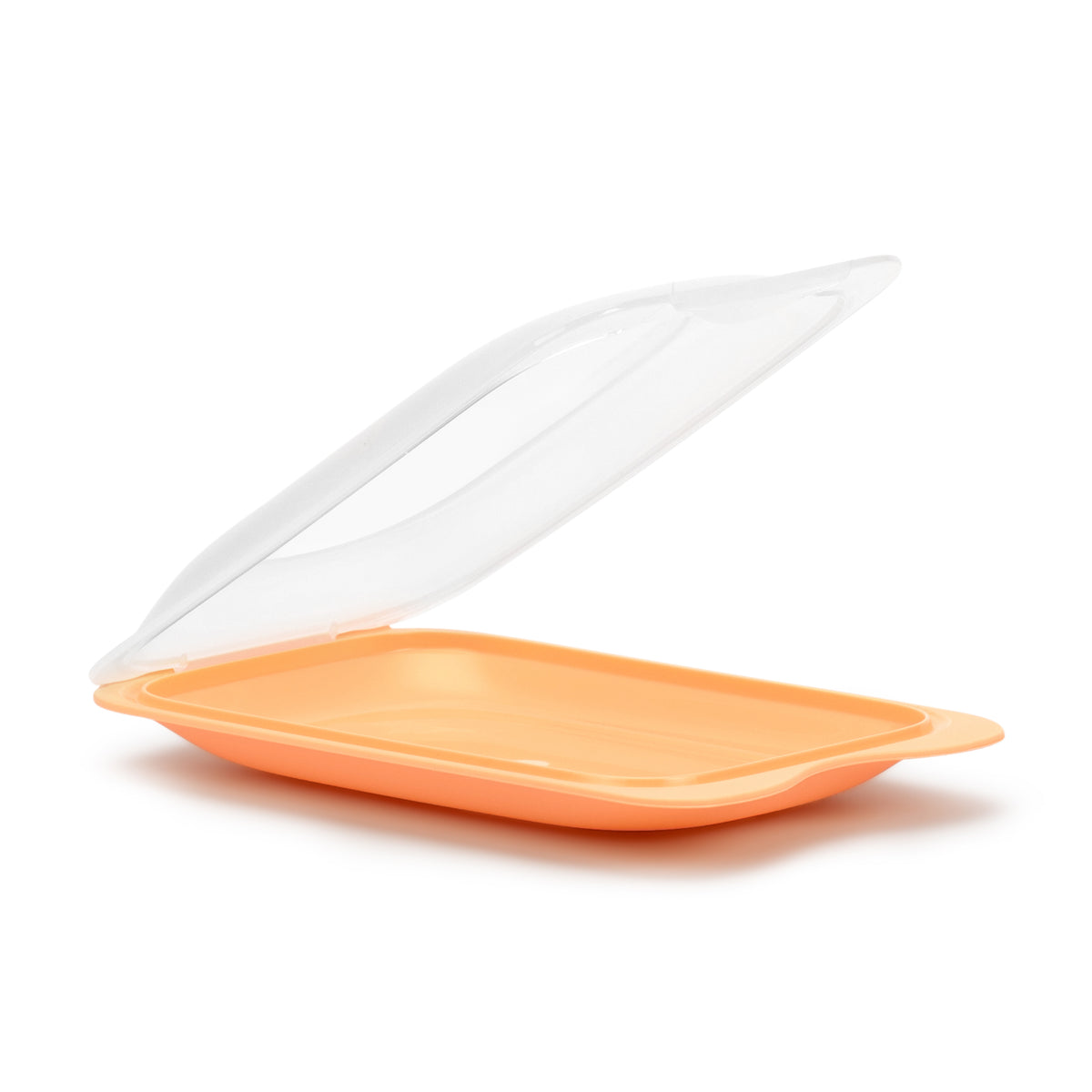 Cold Cuts Container Fresh - Mini