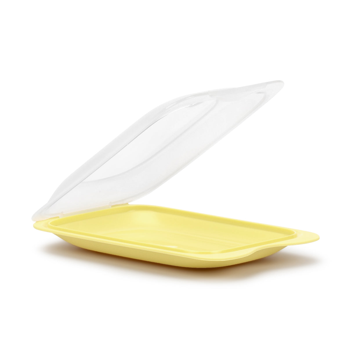 Cold Cuts Container Fresh - Mini