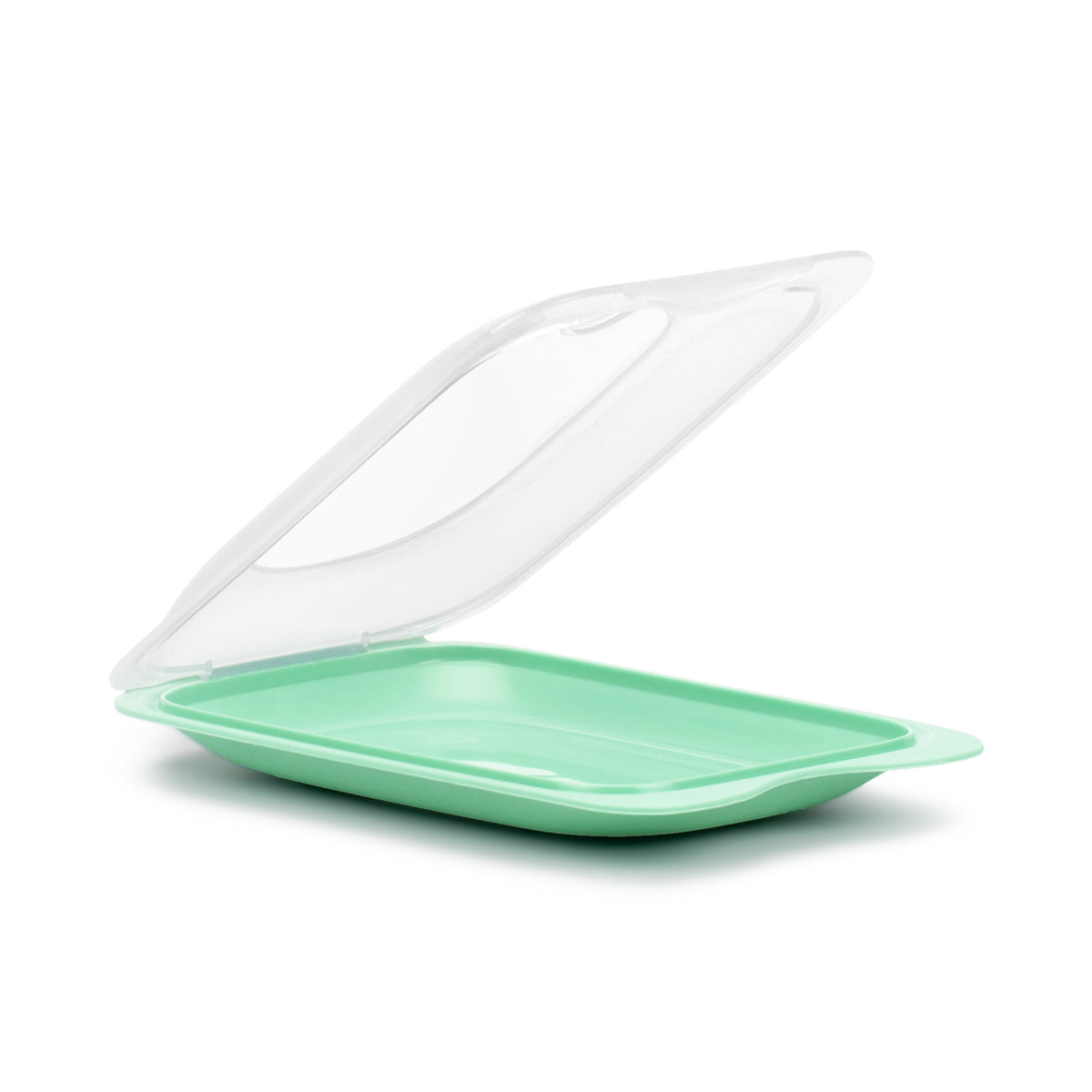 Cold Cuts Container Fresh - Mini