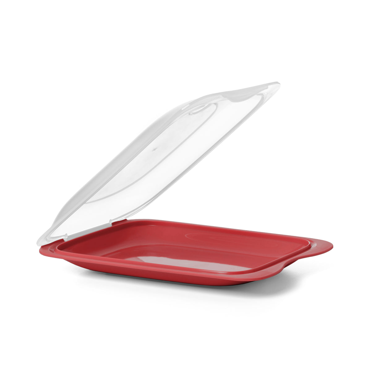 Cold Cuts Container Fresh - Mini