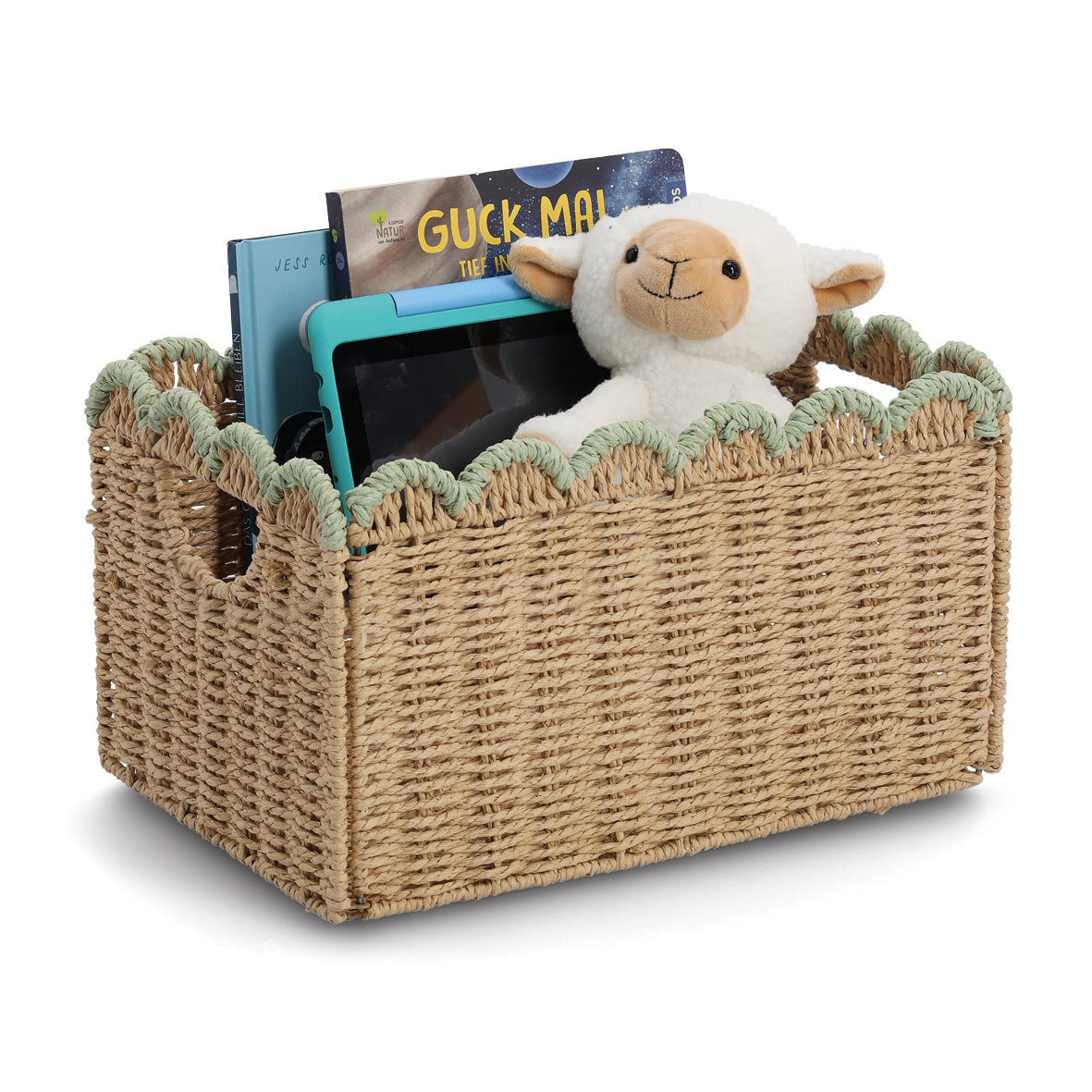 Foldable Storage Basket- Various Sizes