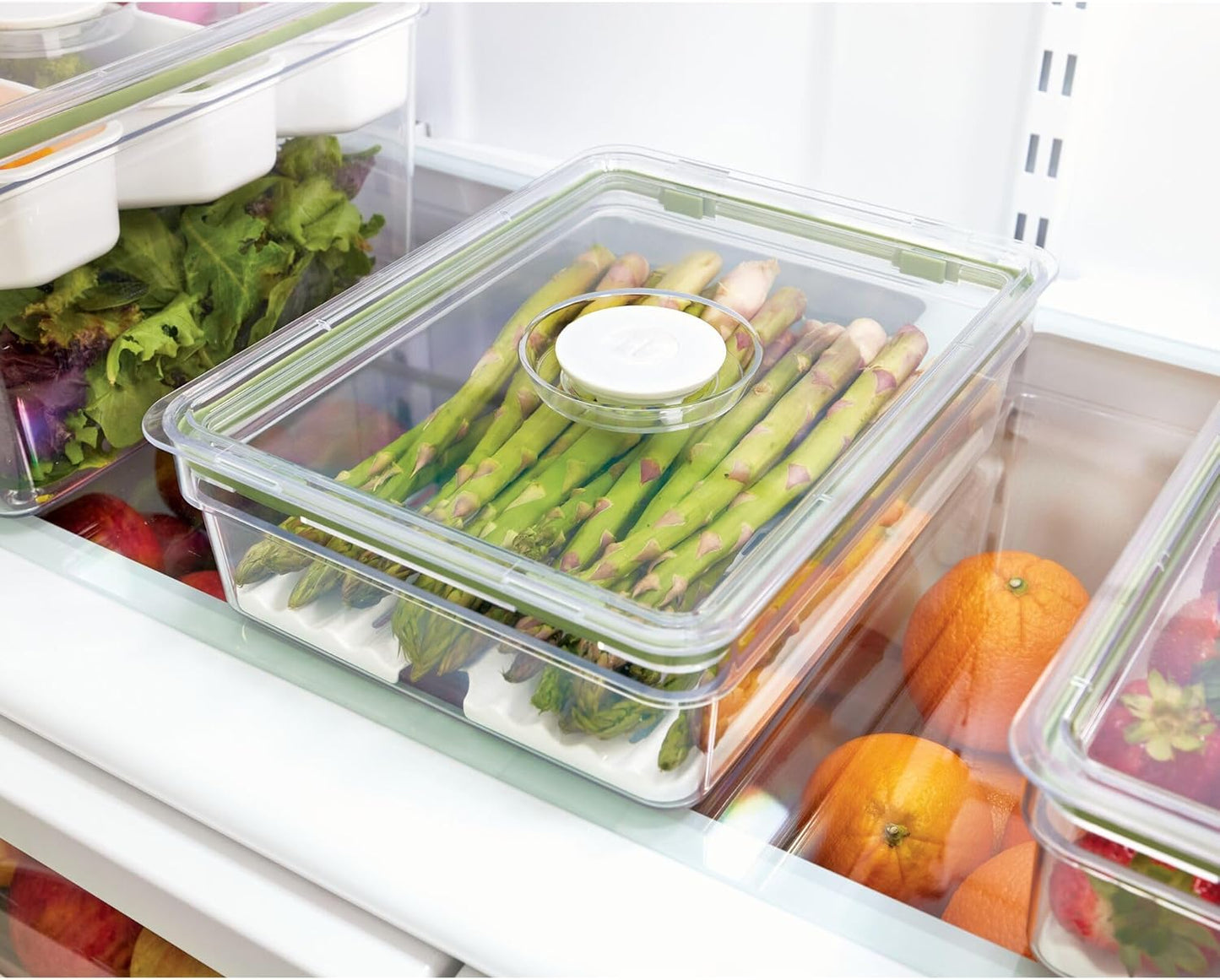 Fresh Large Short Bin with Insert Tray