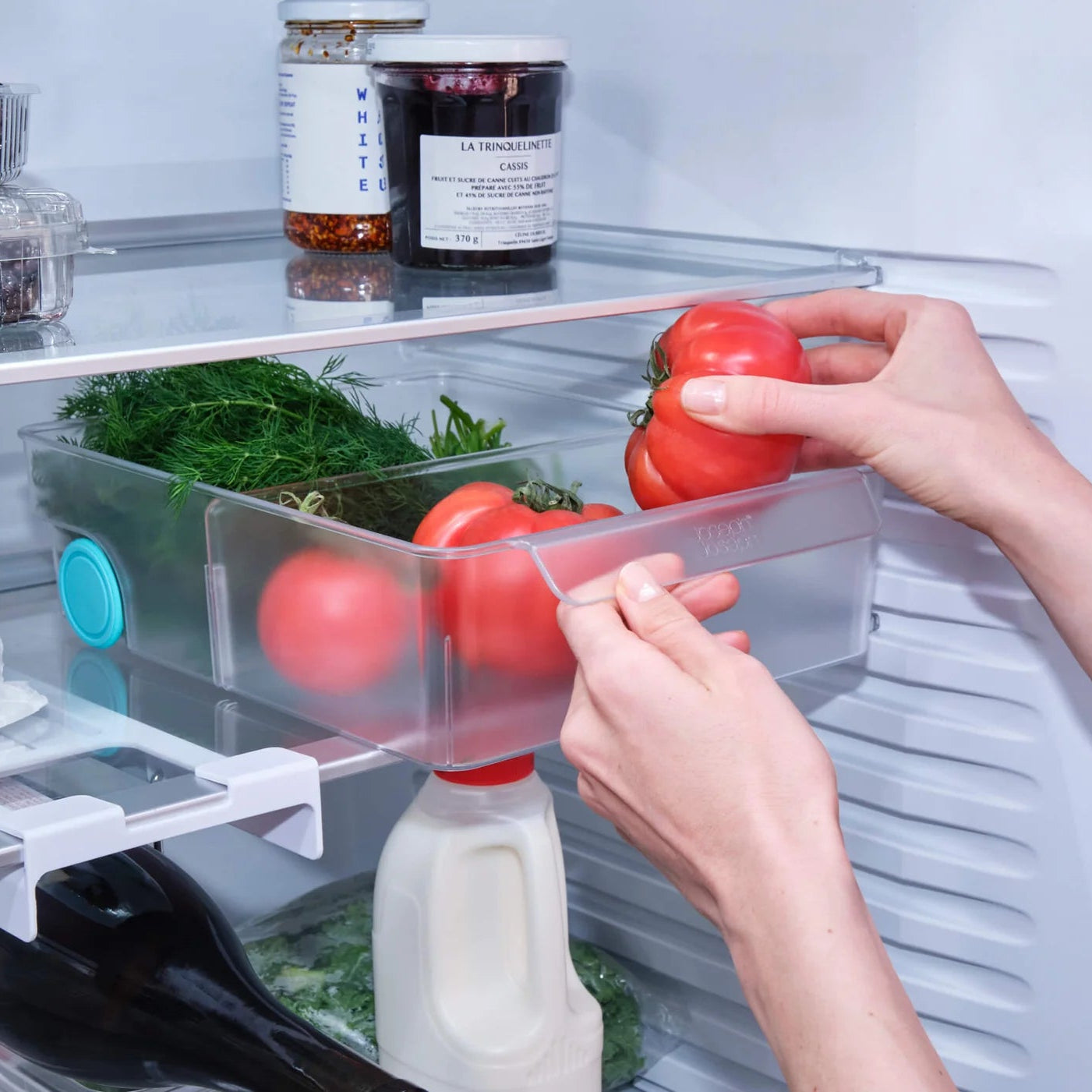 FridgeStore, Extra Large Storage Caddy, Clear