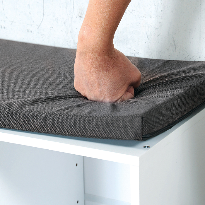 Shoe Cabinet With Seat Cushion