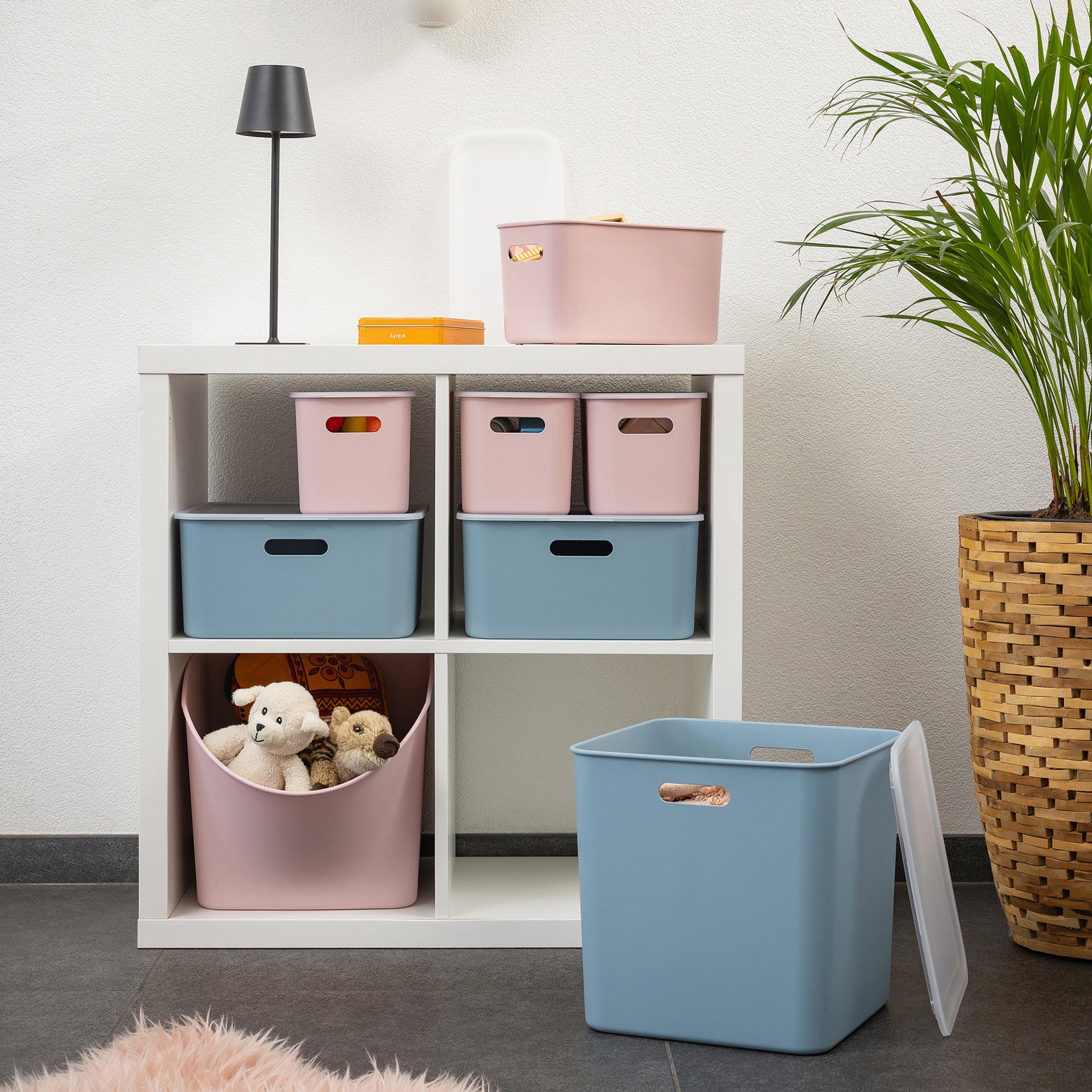 Sigma Home Cube Box 6L - The Organised Store