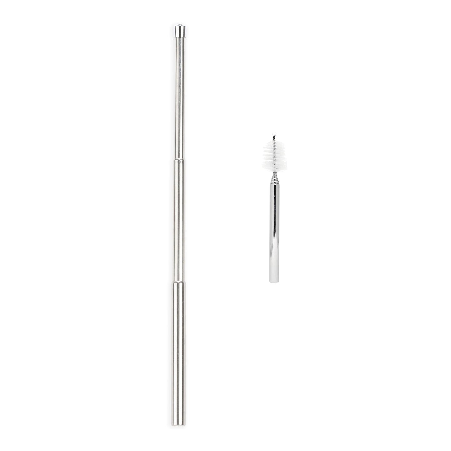 Travel Straw Set- Stainless Steel
