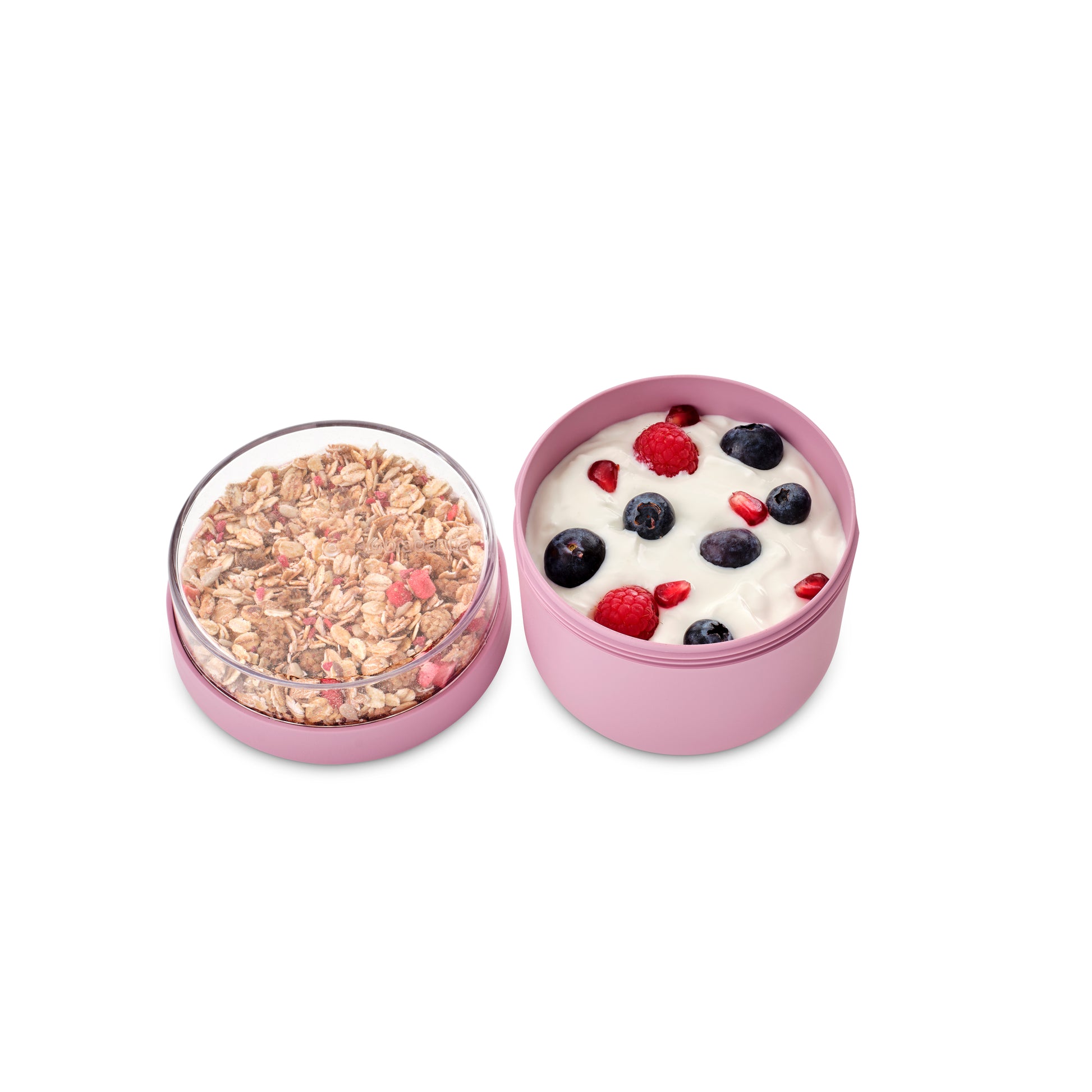 Make & Take Breakfast Bowl - 0.5 L - The Organised Store