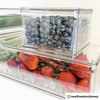 THE Home Edit Berry Bins Clear- Small & Large