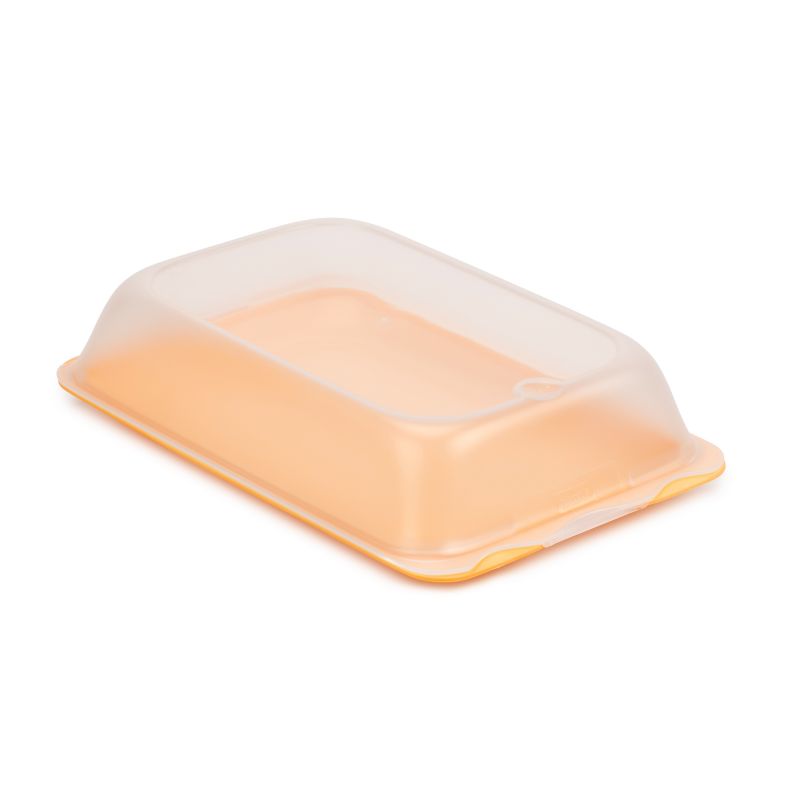 Cold Cuts Container Fresh - Maxi