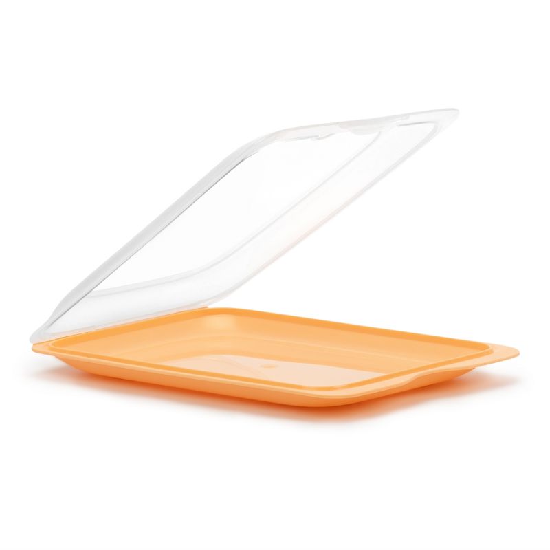 Cold Cuts Container - Fresh