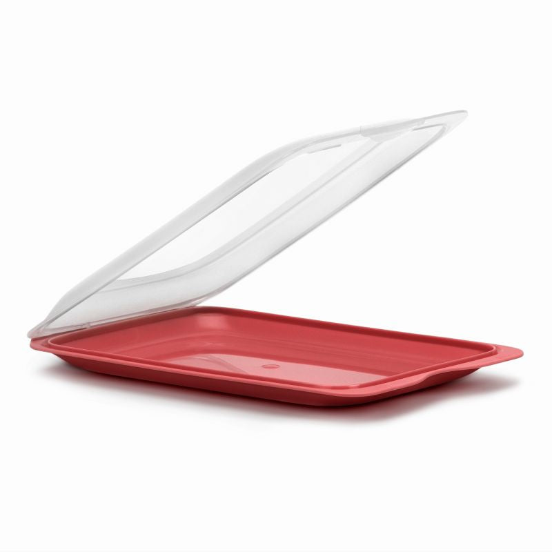 Cold Cuts Container - Fresh