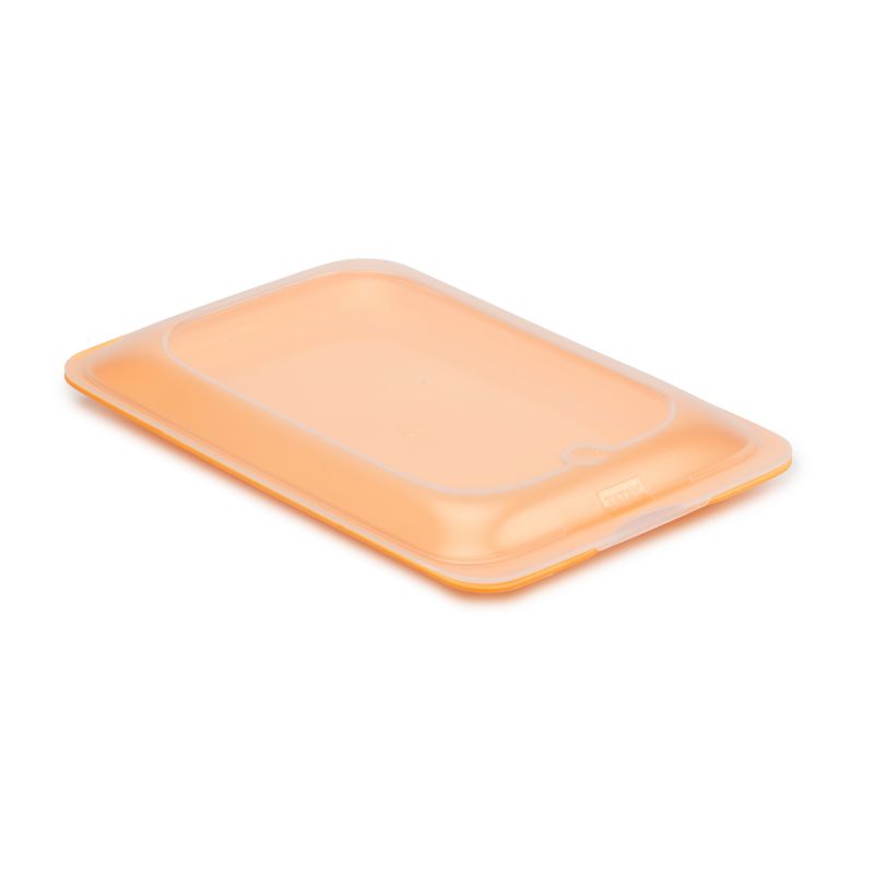 Cold Cuts Container - Fresh
