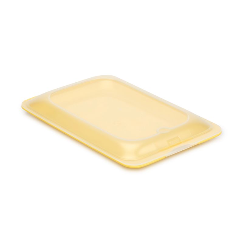 Cold Cuts Container - Fresh