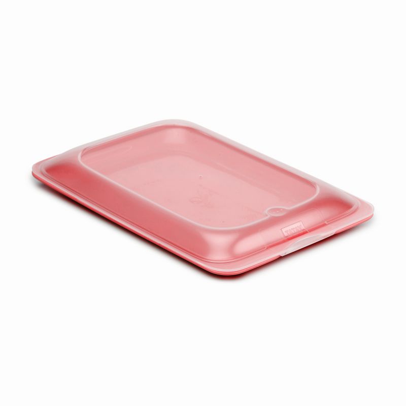 Cold Cuts Container - Fresh