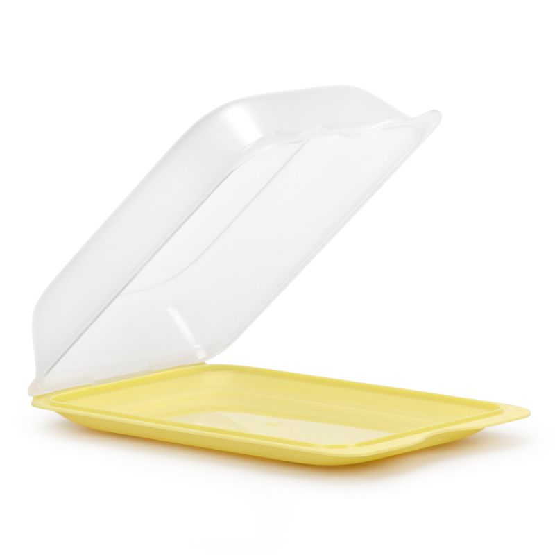 Cold Cuts Container Fresh - Maxi