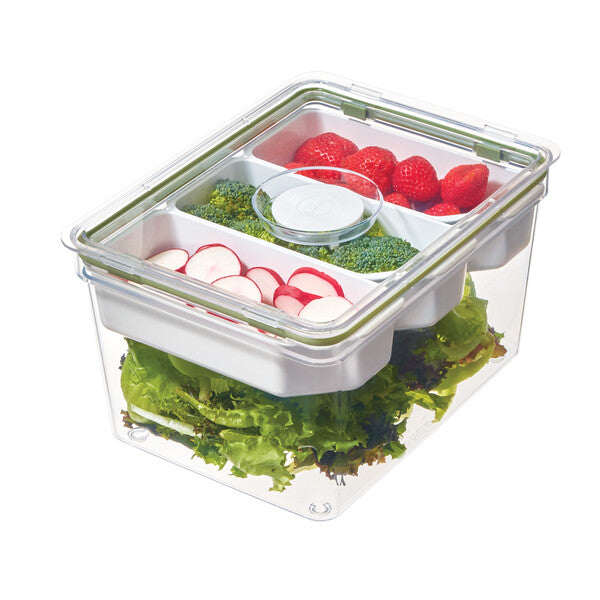 Fresh Large Tall Produce Storage Bin with 3 Movable Dividers – The ...