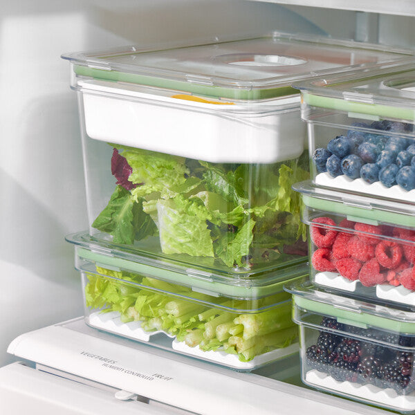 Fresh Large Short Bin with Insert Tray