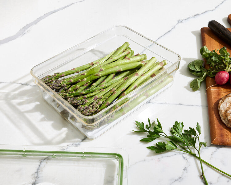 Fresh Large Short Bin with Insert Tray