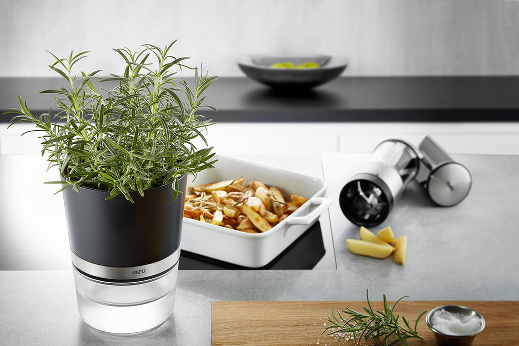 Herb Pot Botanico