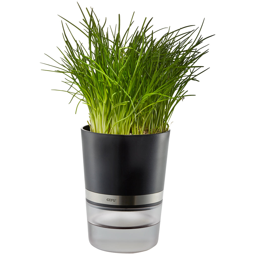 Herb Pot Botanico