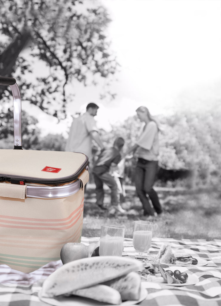 Insulated Foldable Picnic Basket Range