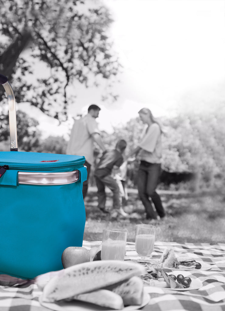 Insulated Foldable Picnic Basket Range