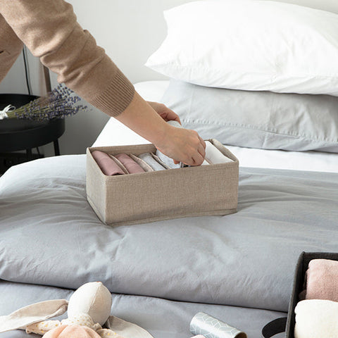 Underbed Storage Tote