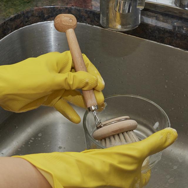 Dino Dish Scrubber