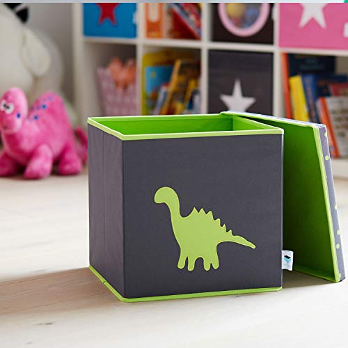 Dinosaur Toy Box - The Organised Store