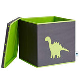 Dinosaur Toy Box - The Organised Store