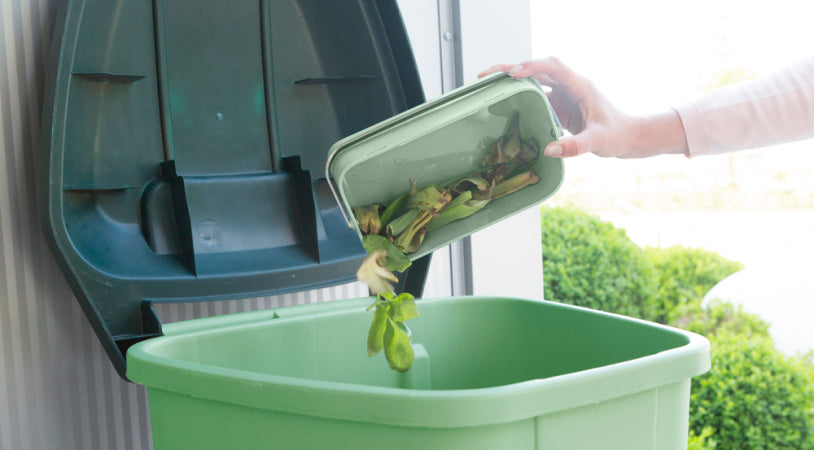 Food Waste Caddy - Jade or Grey